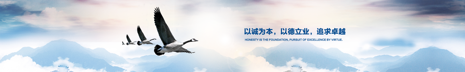 公司新聞